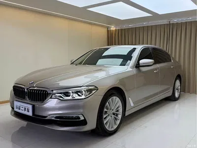 2019 BMW 5 Series 530Li Leading Luxury Package, фото 1, лот 11192807