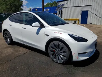 2025 TESLA MODEL Y, фото 4, лот 10767413