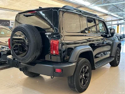 2023 Tank 300 Off-Road Edition 2.0T Conqueror, фото 4, лот 10344680