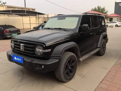 2023 Tank 300 Off-Road Edition 2.0T Conqueror, фото 1, лот 10837458