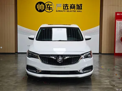 2018 Buick GL6, фото 3, лот 10242273