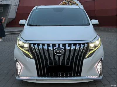 2019 GAC Trumpchi Trumpchi M8 320T Ultimate Edition, фото 2, лот 10906786