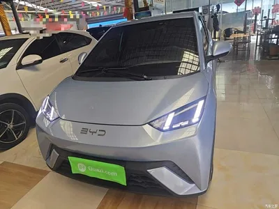2024 BYD Seagull Glory Edition 405km Soaring Edition, фото 3, лот 10260873