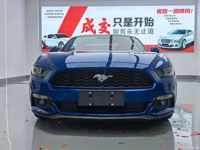2017 Ford Mustang 2.3T Performance Edition, фото 2, лот 10393652