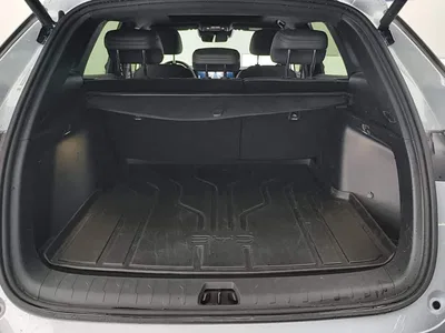 2025 BYD Song L DM-i Smart Drive 160km Premium, фото 4, лот 10274680