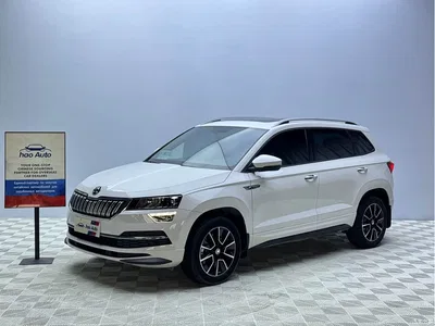 2022 Škoda Karoq TSI280 Premium Edition, фото 1, лот 10349165