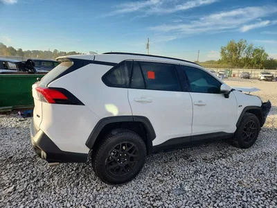 2024 TOYOTA RAV4 XLE, фото 3, лот 11578722