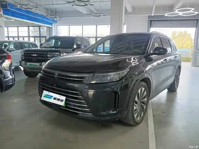 2024 AITO Wenjie AITO M7 1.5T RWD Plus 5-Seater, фото 1, лот 11214415