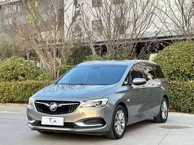 2019 Buick GL6 18T 6-seat Connected Luxury China VI, фото 1, лот 11225426