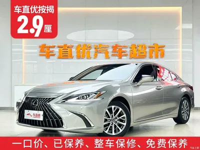 2022 Lexus ES 260 Excellence Edition, фото 2, лот 10312923