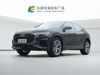 2022 Audi Q8 55 TFSI Luxury Dynamic, фото 1, лот 10233064