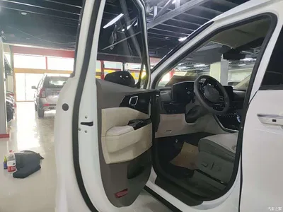 2021 Kia Carnival 2.0T Flagship Edition, фото 3, лот 10336707