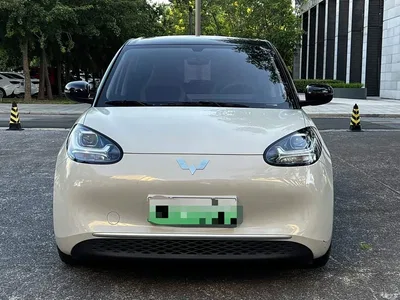 2023 Wuling Motors Wuling Bingo 333km Quick Enjoy Version, фото 2, лот 10393819
