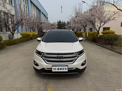 2016 Ford Edge EcoBoost 245 2WD Luxury 7-Seater, фото 3, лот 10298488