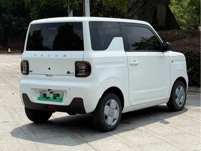 2023 Geely Galaxy Panda Mini 200km Endurance Bear, фото 4, лот 10431081