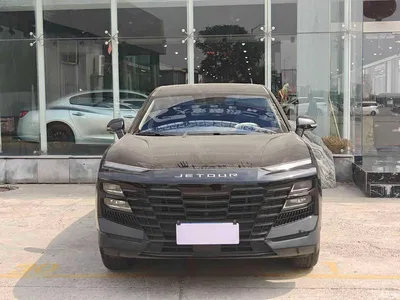 2023 Jetour Dasheng 1.5T DCT Starlight PRO, фото 2, лот 10827004