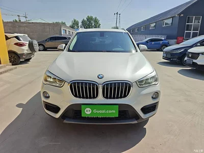 2018 BMW X1 sDrive20Li Leading Model, фото 3, лот 10467661
