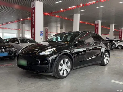 2021 Tesla Model Y Standard Range Rear-Wheel Drive, фото 2, лот 10955626