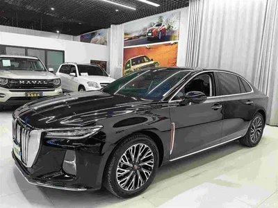 2024 Hongqi H5 2.0T Automatic Smart Connect Flag Smooth Edition, фото 1, лот 10304232