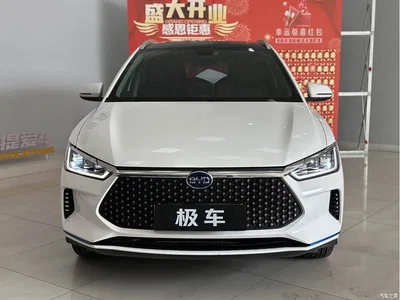 2020 BYD e2 Upgraded Long Range Premium, фото 2, лот 11536825