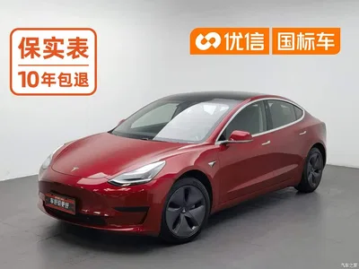 2020 Tesla Model 3 Standard Range Rear-Wheel Drive Upgrade, фото 1, лот 10356353