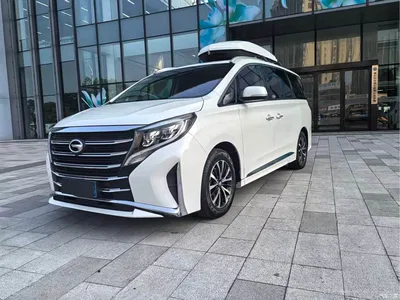 2021 GAC Trumpchi Trumpchi M8 Leading Show Series 390T Premium Edition, фото 1, лот 11016881