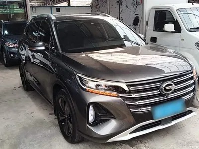 2022 GAC Trumpchi Trumpchi GS4 270T Auto Tech Edition, фото 4, лот 11011465