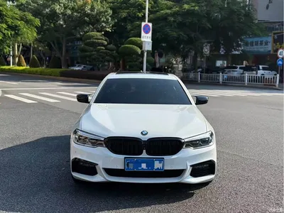 2019 BMW 5 Series 530Li Premium M Sport Package, фото 2, лот 10615589