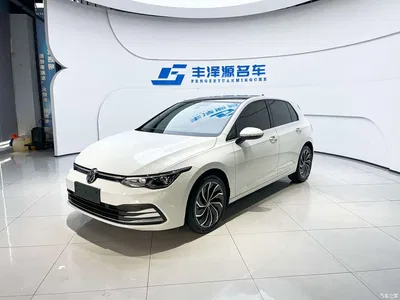 2021 Volkswagen Golf 280TSI DSG Pro, фото 1, лот 10411259