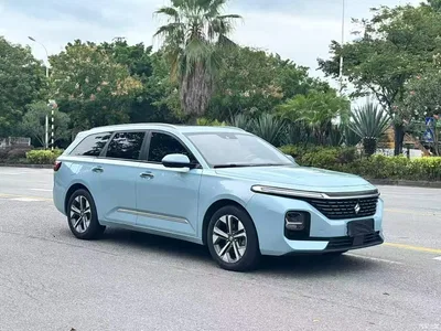 2021 Baojun Valli 1.5T Nagqu Starry Sky CVT Flagship Model, фото 4, лот 10406684