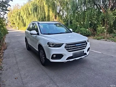 2017 Haval H6 Blue Label Sport 1.5T Auto 2WD Luxury, фото 4, лот 11386408