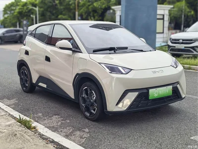 2024 BYD Seagull Glory Edition 305km Freedom Edition, фото 3, лот 10248689