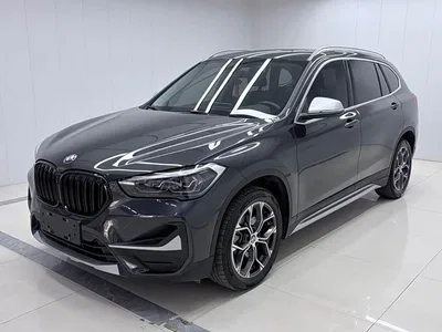 2022 BMW X1 sDrive20Li Premium, фото 1, лот 10466351
