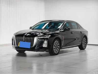 2024 Hongqi H5 2.0T Automatic Smart Connect Flag Smooth Edition, фото 1, лот 10286886