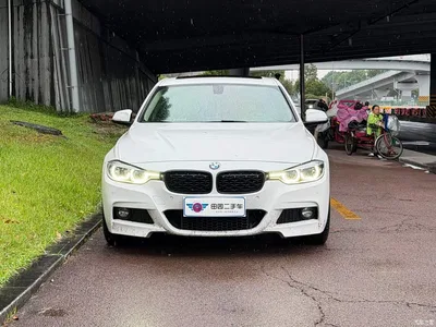 2019 BMW 3 Series 320Li M Luxury Package, фото 2, лот 10481930