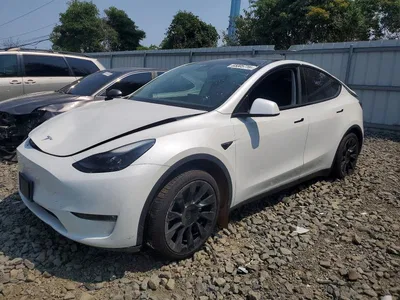 2023 TESLA MODEL Y, фото 1, лот 10664759
