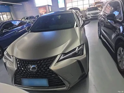2022 Lexus UX 260h Fun Edition, фото 3, лот 10388495