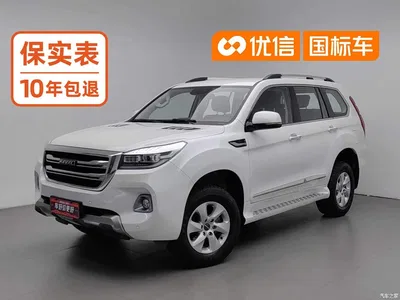 2020 Haval H9 2.0T Gasoline 4WD Elite 5-Seater, фото 1, лот 11548512