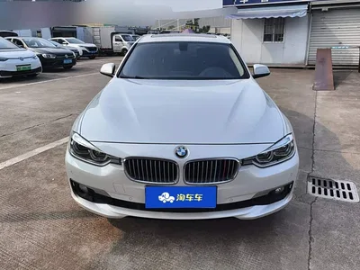2019 BMW 3 Series 320Li Fashion Type, фото 3, лот 11202229