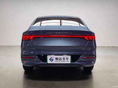 2024 BYD Qin PLUS Glory Edition DM-i 55KM Leading, фото 3, лот 10363712