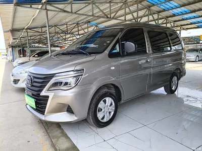 2025 Dongfeng Lingzhi M5 1.6L Short Wheelbase Utility 7-seater, фото 1, лот 11165150