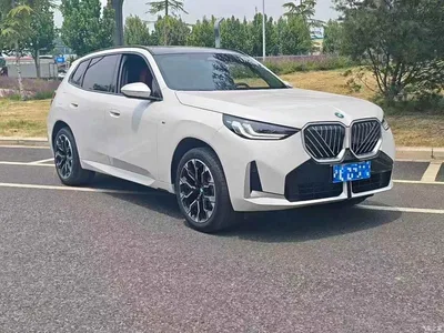2025 BMW X3 xDrive30L Leading Model M Sport Black Package, фото 3, лот 10461067