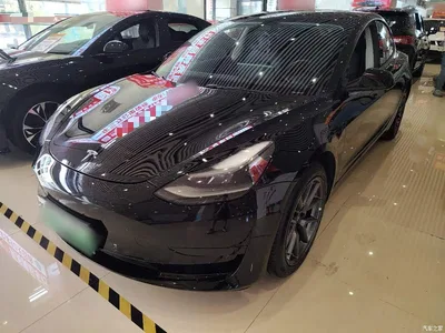 2021 Tesla Model 3 Standard Range Rear-Wheel Drive Upgrade 3D6, фото 1, лот 10476428