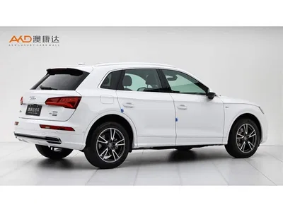 2020 Audi Q5L 45 TFSI Exclusive Fashion, фото 3, лот 10234075