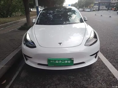 2021 Tesla Model 3 Standard Range Rear-Wheel Drive Upgrade, фото 3, лот 11203932