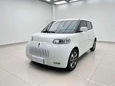 2020 Ora White Cat 305km Luxury, фото 1, лот 11553780