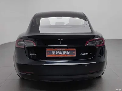 2022 Tesla Model 3 Model Rear-Wheel Drive Version, фото 4, лот 10346022