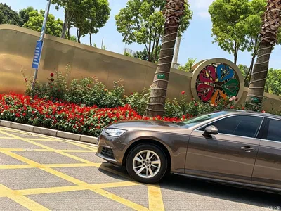 2017 Audi A4L Plus 40 TFSI Style, фото 4, лот 10234142