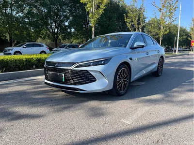 2025 Byd Qin, фото 1, лот 10243945