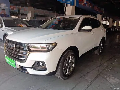 2021 Haval H6 Model National Trend Edition 1.5T Auto Champion, фото 1, лот 10284205